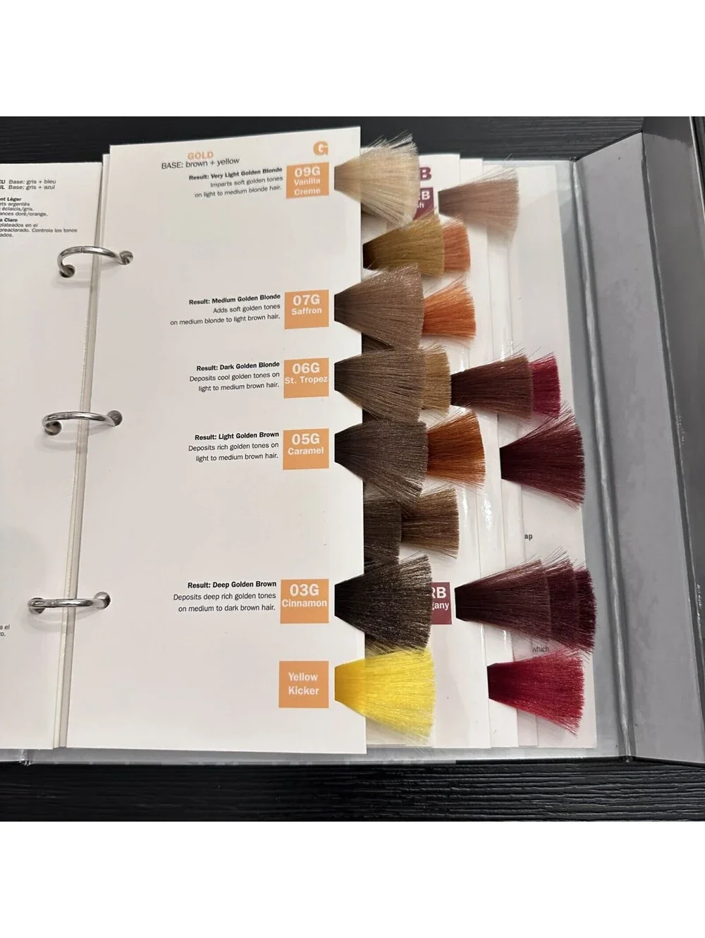 Redken Shades EQ Equalizing Conditioning Color Gloss Salon Swatch Book EUC
